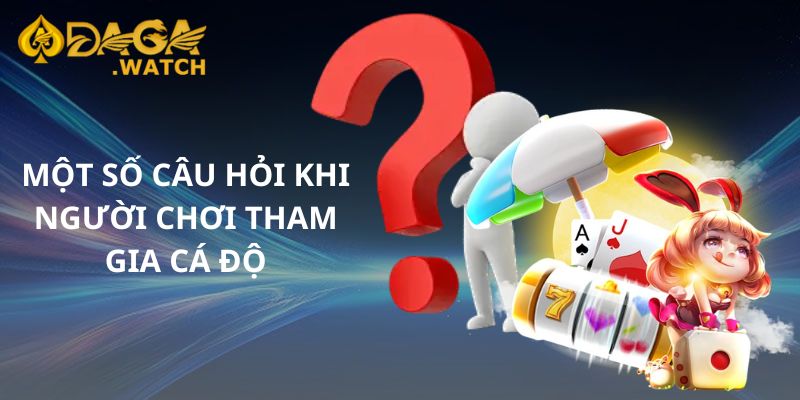 Một số câu hỏi khi người chơi tham gia cá độ